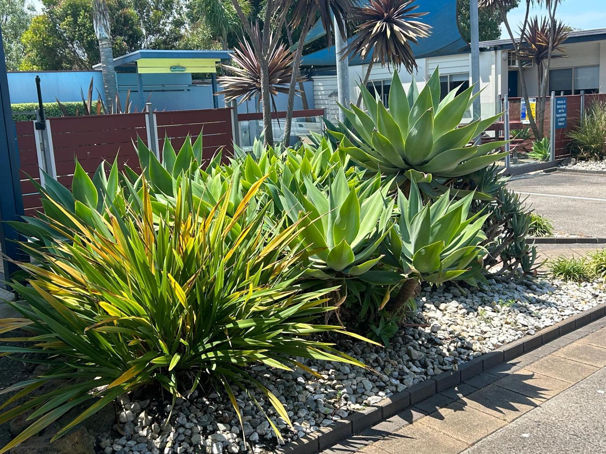 Portarlington Beach Motel Экстерьер фото